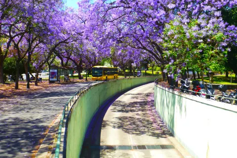 Eduardo VII Park