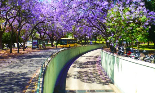 Eduardo VII Park