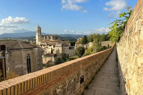 The Walls