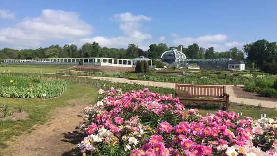 VDU Botanical garden