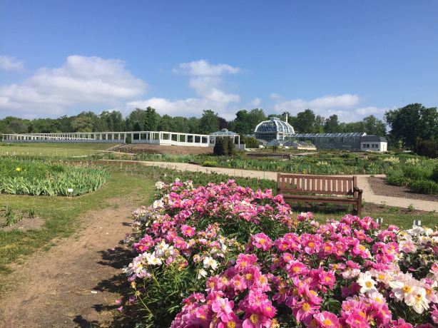 VDU Botanical garden