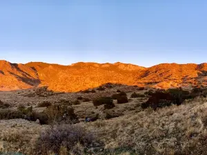 Cibola National Forest