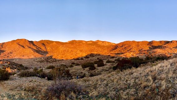 Cibola National Forest
