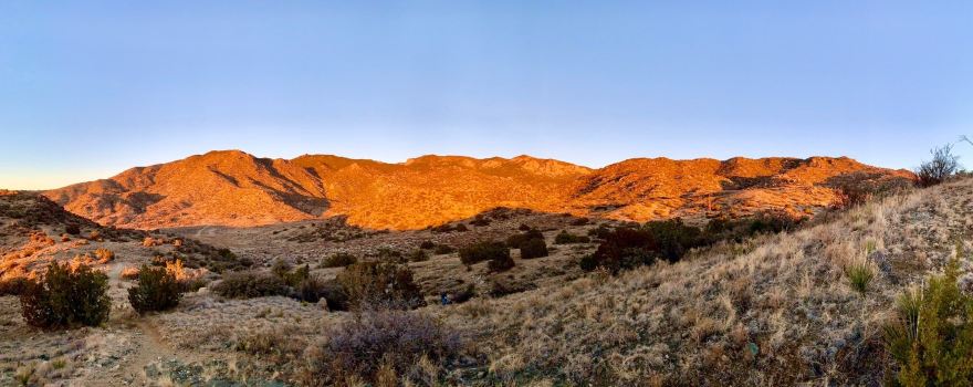 Cibola National Forest