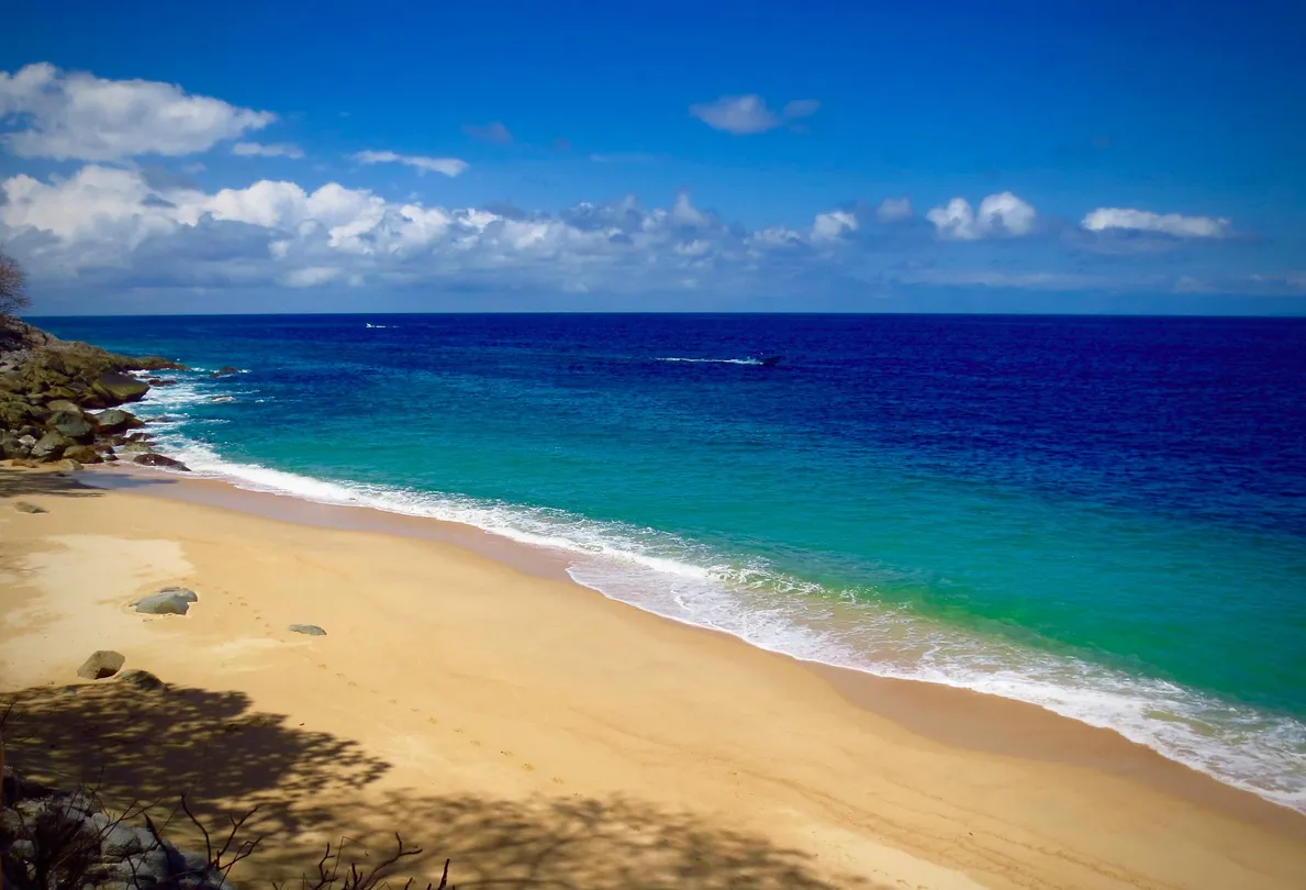 1_Playa Las Animas