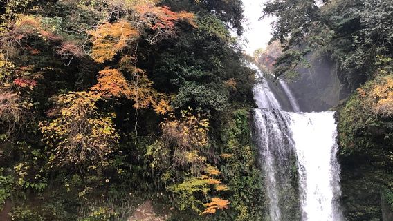 Waterfall Jion