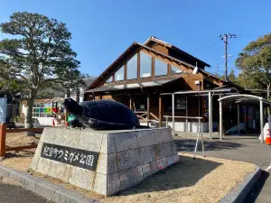 Roadside station Kihocho Umigame-park