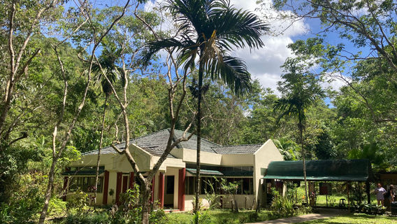 Philippine Tarsier Sanctuary