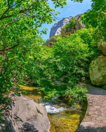 starigrad