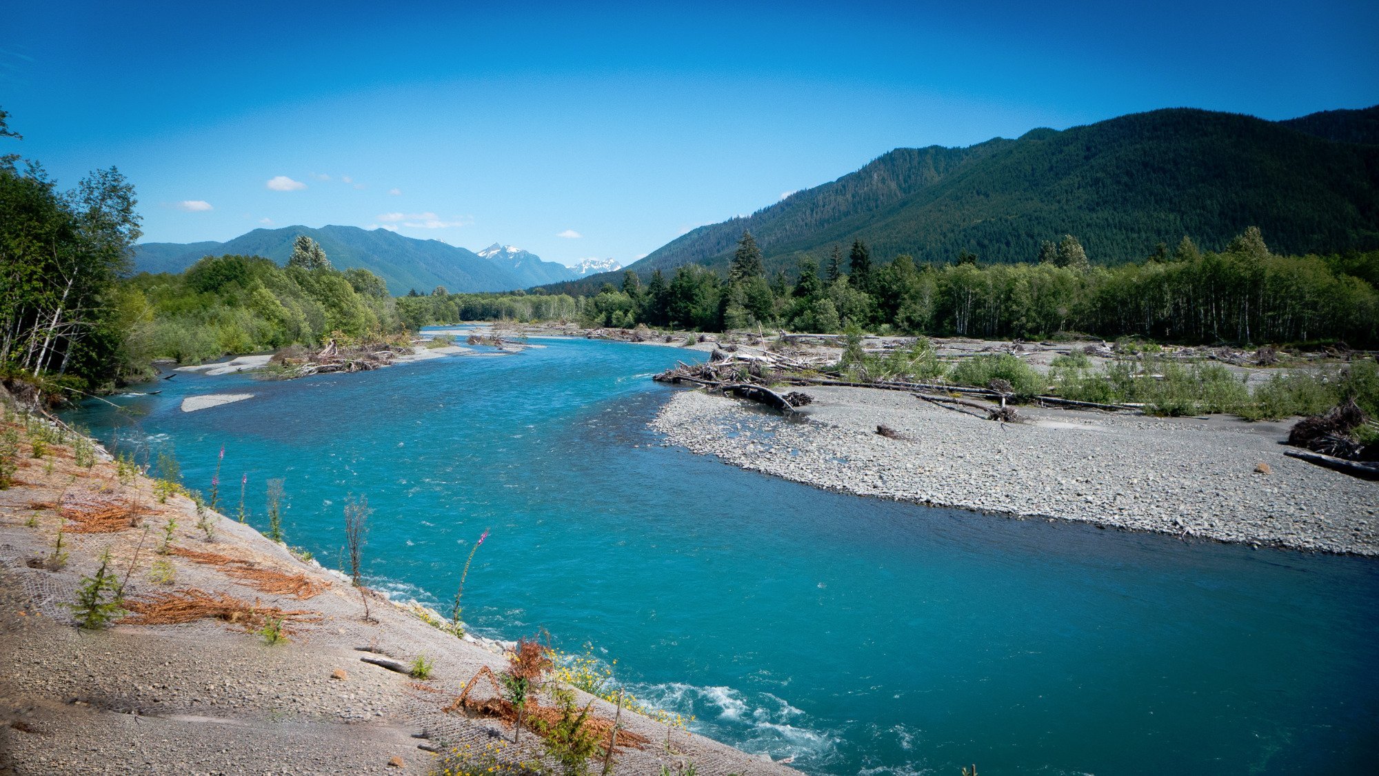 2025 Forks Travel Guide: Must-see attractions, popular food, hotels, transportation routes (updated in June)
