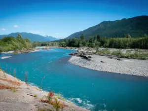 Hoh Rain Forest
