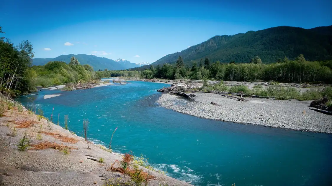 Hotels near Hoh Rain Forest