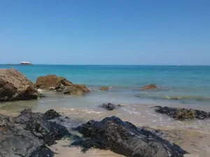 Réserve naturelle nationale de la baie de Saint-Brieuc