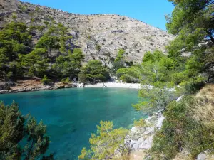 Blaca Hermitage