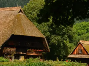 Black Forest Museum
