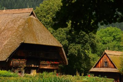 Black Forest Museum