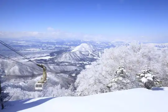 鄰近龍王滑雪公園的酒店