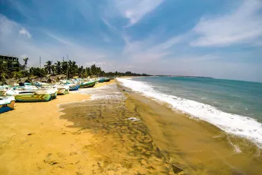 Arugam Bay