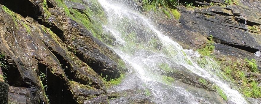 Morgan County