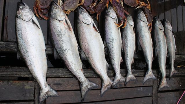 Tonquin Fishing Charters