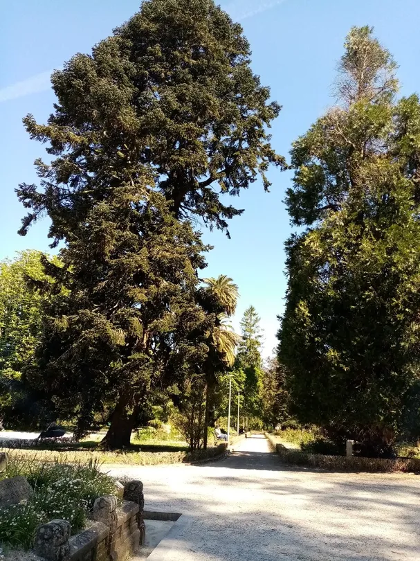 5_Parque de la Alameda