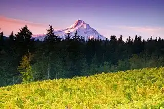 Hotels near Phelps Creek Vineyards