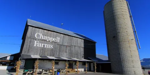 Chappell Farms