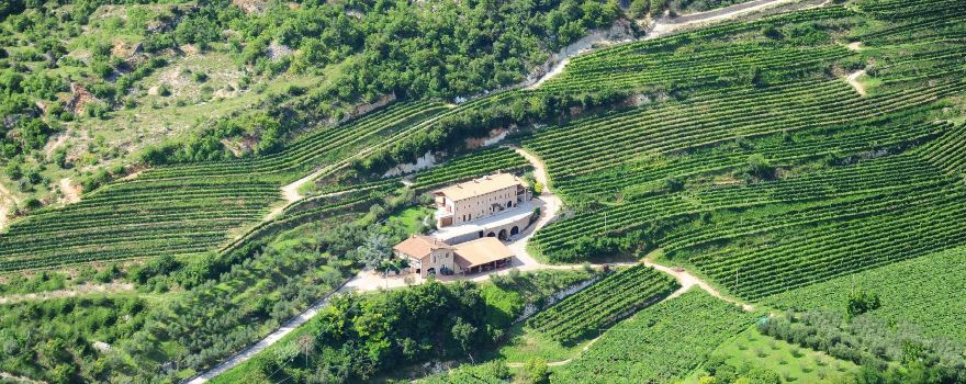 Azienda Agricola Boscaini Carlo