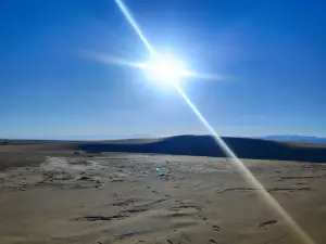 Far del Fangar