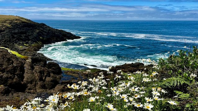 Rocky Creek State Scenic Viewpoint