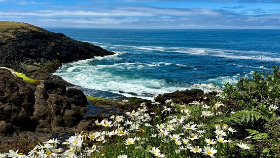 Rocky Creek State Scenic Viewpoint