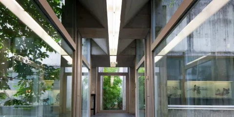 Musee de Prehistoire d'Ile-De-France