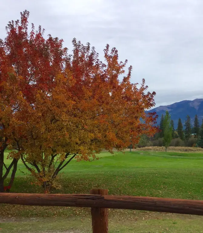 Seeley Lake