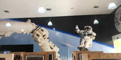 Museu Parque Do Saber