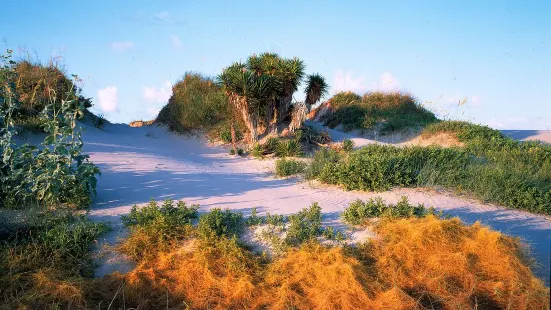 Matagorda Bay Nature Park