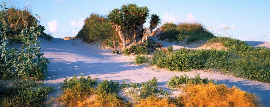 Matagorda