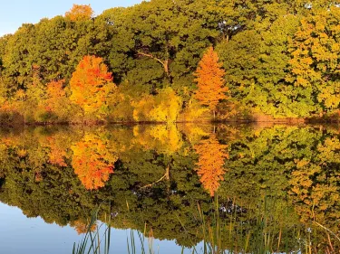 Woburn