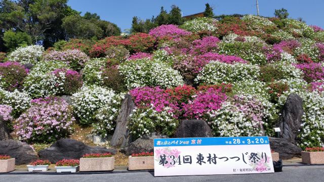 Higashi Azalea Eco Park