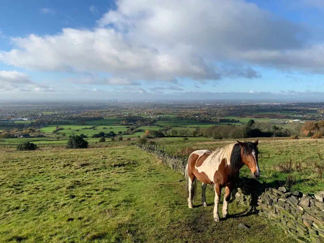 Hotels near Hartshead Pike Tower