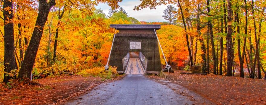 Wire Bridge