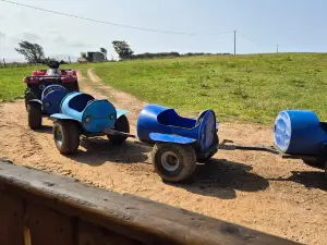 Castle Adventure Farm