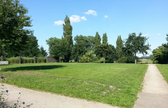 奧得河畔法蘭克福