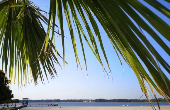 諾伊施塔特－格萊沃