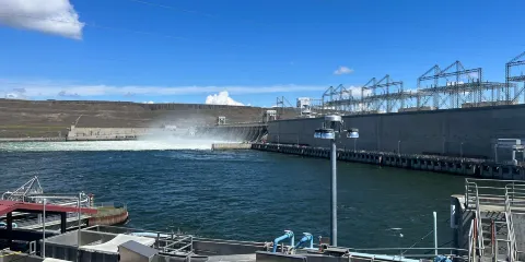 McNary Dam and the Pacific Salmon Visitor Information Center