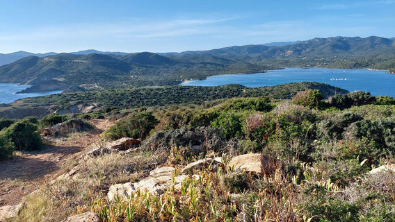 Torre di Capo Malfatano