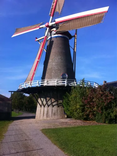 デ・オンデルネーミング