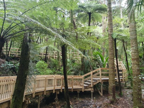 Parry Kauri Park