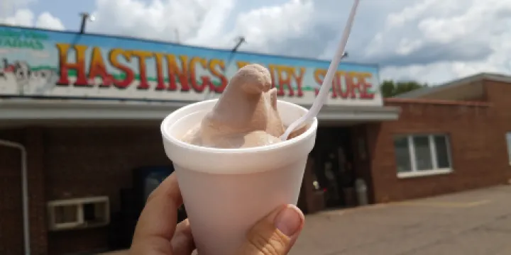 Hastings Dairy Store