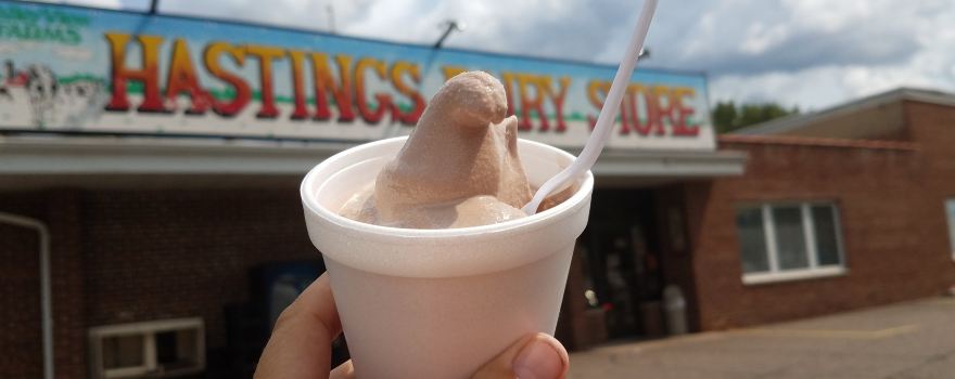 Hastings Dairy Store