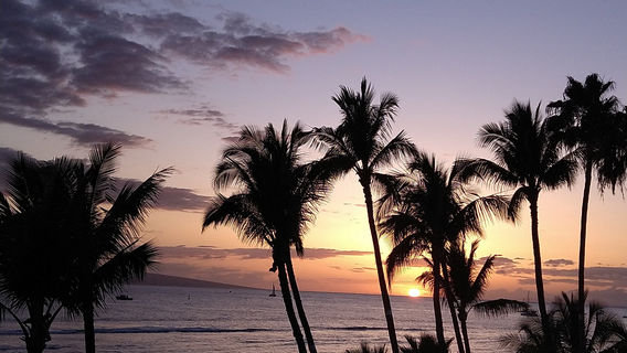 Mina's Massage Therapy Maui